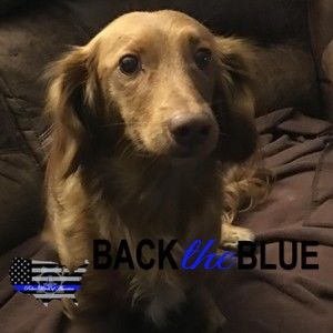 Meet your Posher, Teri